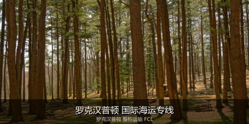 海运拼箱与整柜运输优劣对比